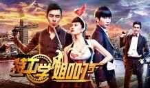 特工学姐007电视剧,智勇双全，解码危机